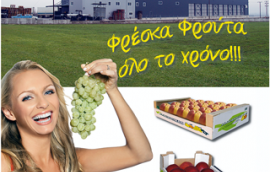 Αγροτικός Συνεταιρισμός Αργυροπούλι Τυρνάβου