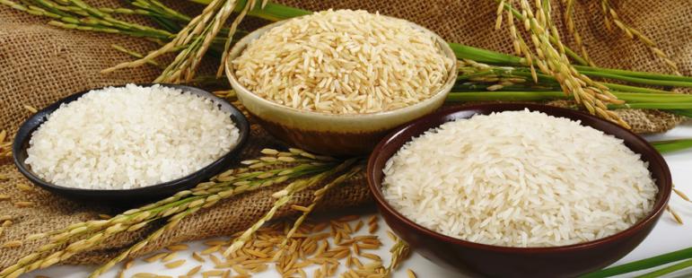 Βιολογικό ρύζι